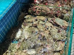 -蓝珊甄选海鲜自助·火锅大排档(近阿那亚店)