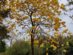 -中国移动南方基地