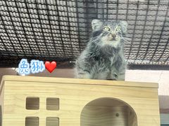 -青藏高原野生动物园