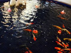 -黄埔华苑酒家(黄埔总店)