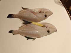 -豹豹私房火锅(侨城坊店)