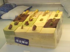 -维尔纳斯·生日蛋糕动物奶油冰淇淋蛋糕(人大店)