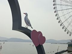 -蠡湖大桥公园