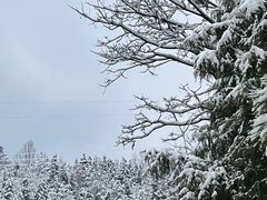 -广元曾家山国际滑雪场