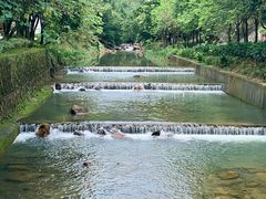 -广州白江湖森林公园