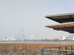 -武汉关码头(轮渡站)