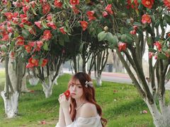 -艾溪湖湿地公园