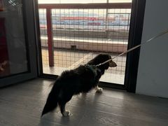 -锐擎卡丁车主题乐园(郊野公园店)