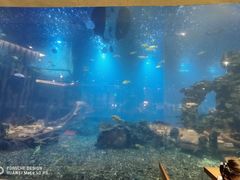 -海棠湾洲际-涛·海底餐厅·美人鱼·自助餐·海底隧道