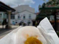 芒果糯米糍-澳门长洲糯米糍(柯打苏沙街店)