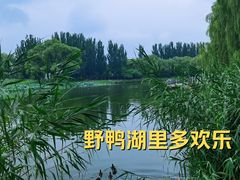 -将府公园