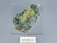 -中国地质博物馆