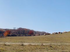 -塞罕坝国家级自然保护区