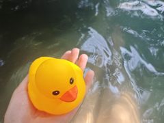 -湖泉半山温泉(湖泉生态园)