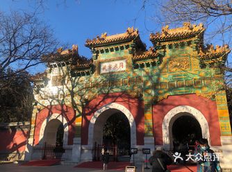 以为现在会有很多腊梅花看，所以就趁着周末去北京植物园