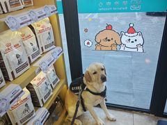 -美联众合动物医院·24h转诊中心