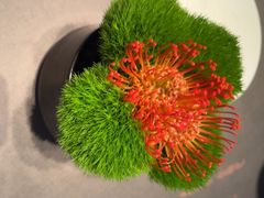 -海立阁海鲜江浙菜(漕河泾印象城店)
