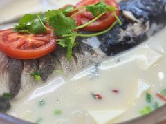 千岛湖浓汤鱼头-全乐鱼馆·淳牌有机鱼直营店