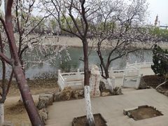 -桃花堤公园