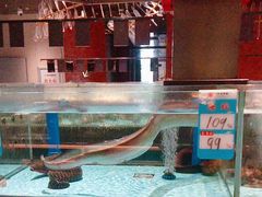 -阿伟海鲜楼·福建菜(延寿店)