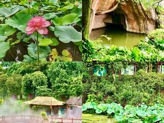 -广州莲花山旅游区