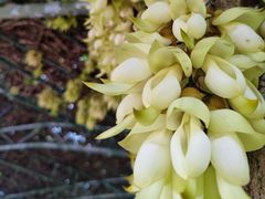 -天鹿湖森林公园