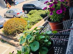 -九华山友谊土菜馆 小资餐厅