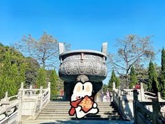 -鼎湖山风景区