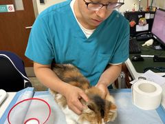 -美联众合动物医院·24h转诊中心