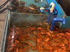 -星伦多 自助料理(圆融店)