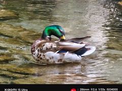 -水磨沟公园