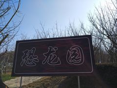 -千年银杏谷文化旅游区