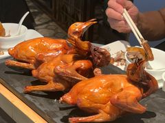 -大鸽饭(体育西路店)