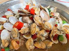 铜盘花蛤-新白鹿餐厅(城西银泰城店)