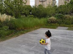 -颐景园