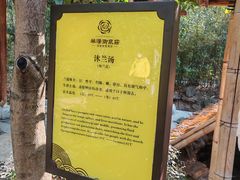 -深业半汤御泉庄温泉
