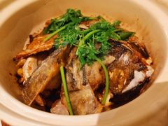 -清晖小苑•顺德地方菜(壹海城店)