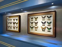 -上海昆虫博物馆