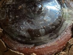 -甲氏瓯鸡(石横店)