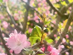 -徐家汇源景区-衡山公园