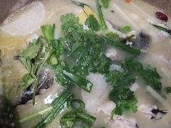 -七采菌园·野生菌石锅鱼(环城北路店)