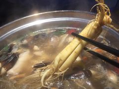 -千岛蚝高压锅生蚝·人参火锅(白云万达店)