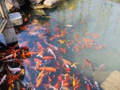 -龙宫洞风景区