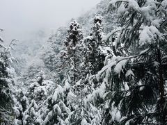 -九峰山