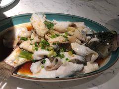 -大榕树下顺德菜(融创茂店)
