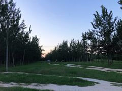 -汉长安城未央宫国家考古遗址公园