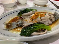 -寻味顺德·南记酒家·传统顺德菜·鱼生(广源路店)