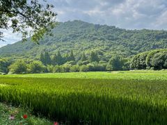 -八卦田遗址公园