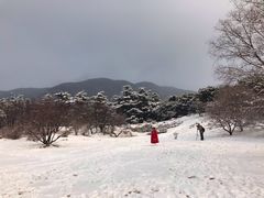 -红楼梦邮局