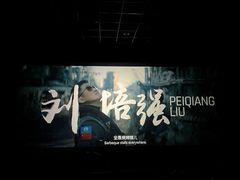 -华美国际影城(旧宫永辉店)